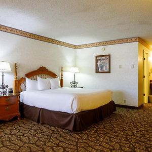 1 King Bed Premium Non-Smoking